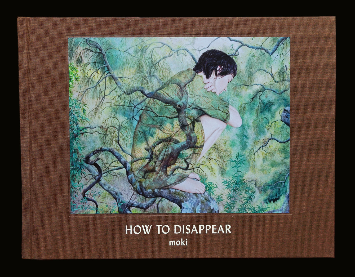 how to dissappear - book